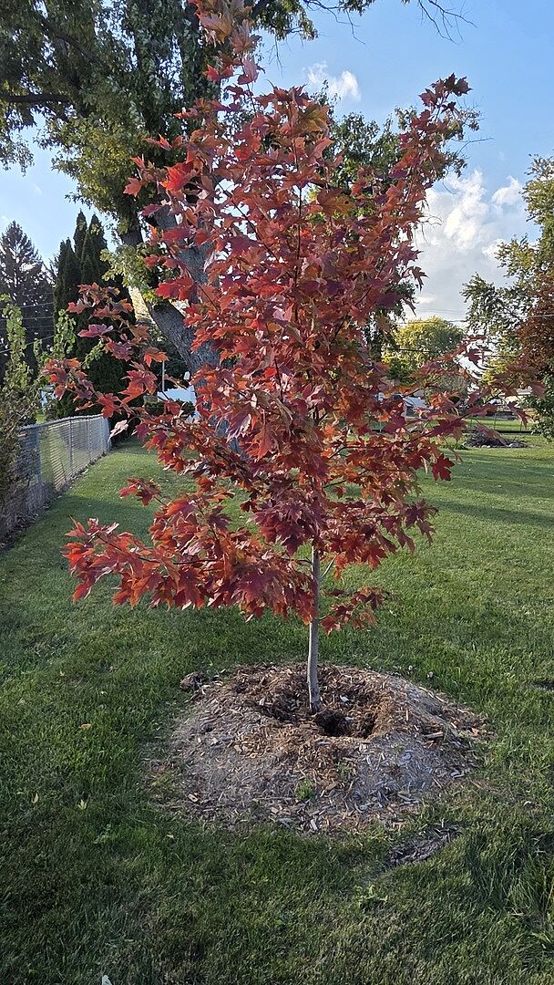 Media from review #2