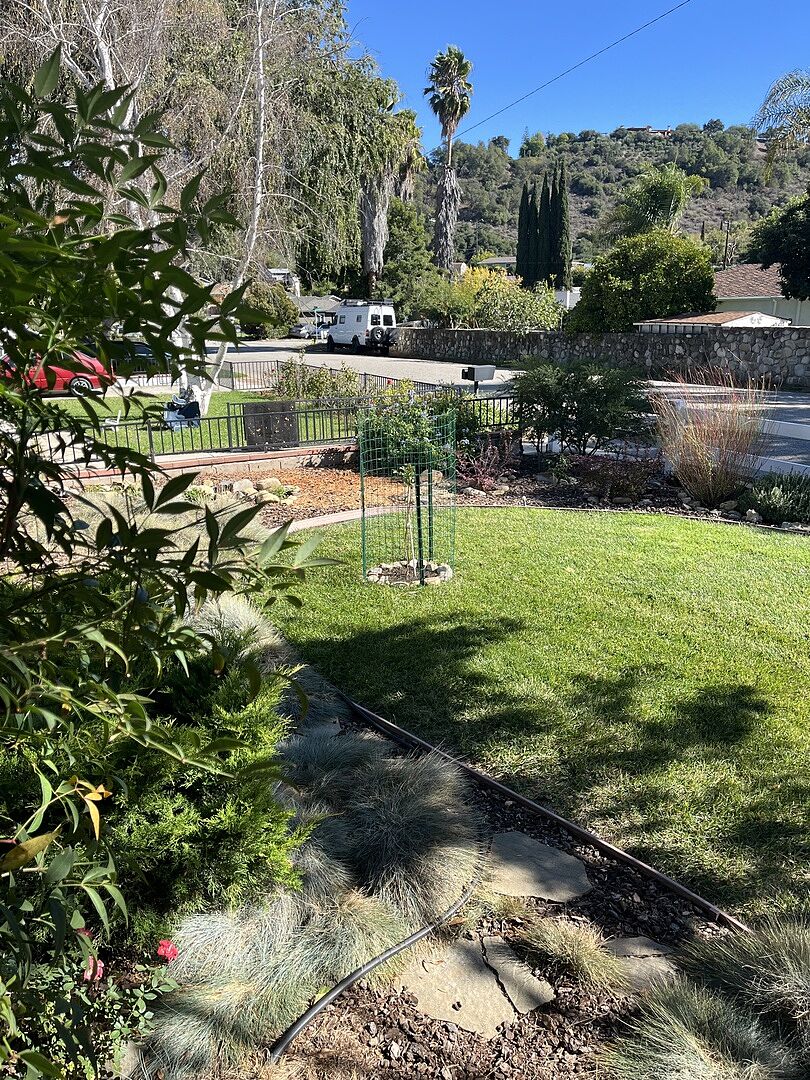 Media from review #2