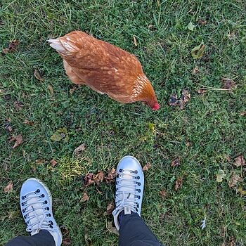 I'm loving my Fitzsimmons so