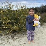 Image of Review by Lucia on  4 Nov 2025 number 1