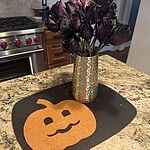 Image of Review by Heather A. on  5 Nov 2025 number 1