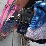 Image of Review by Stacey on  6 Nov 2025 number 1