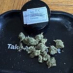 Customer Review Image