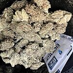 Customer Review Image