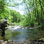 Image of Review by ポール on 11 Nov 2025 number 1