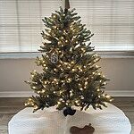 Image of Review by Kari F. on 11 Nov 2025 number 1