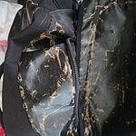 Image of Review by KJ on 12 Nov 2025 number 1