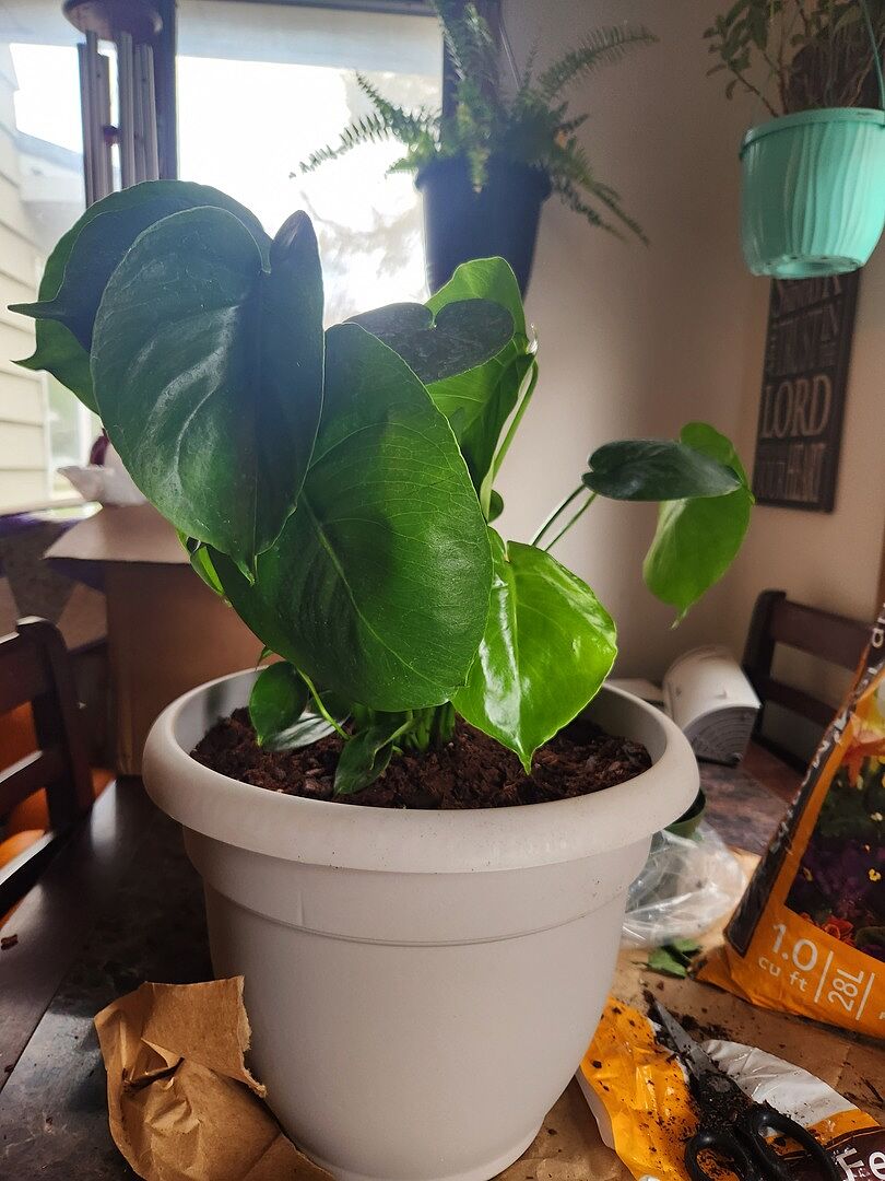 Media from review #3