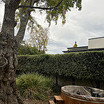 Review image by Soung K.