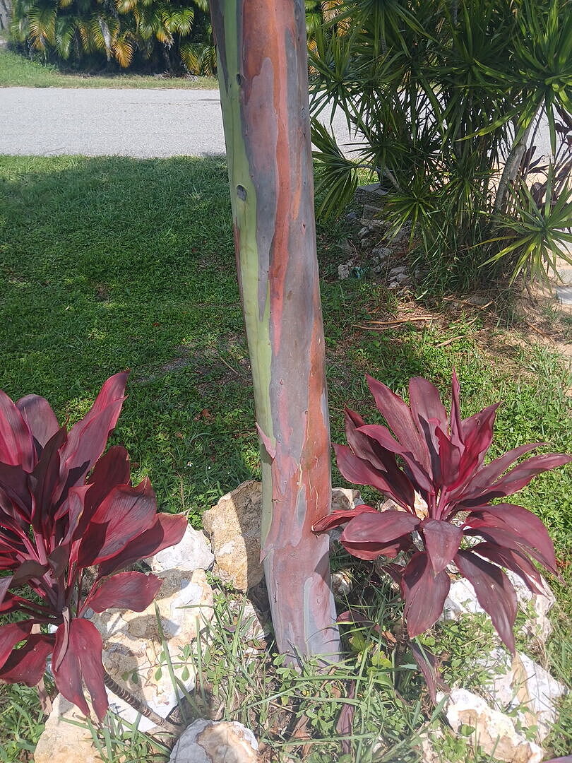 Media from review #2