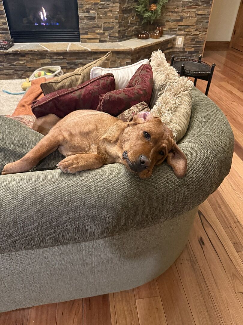 Customer Review Image