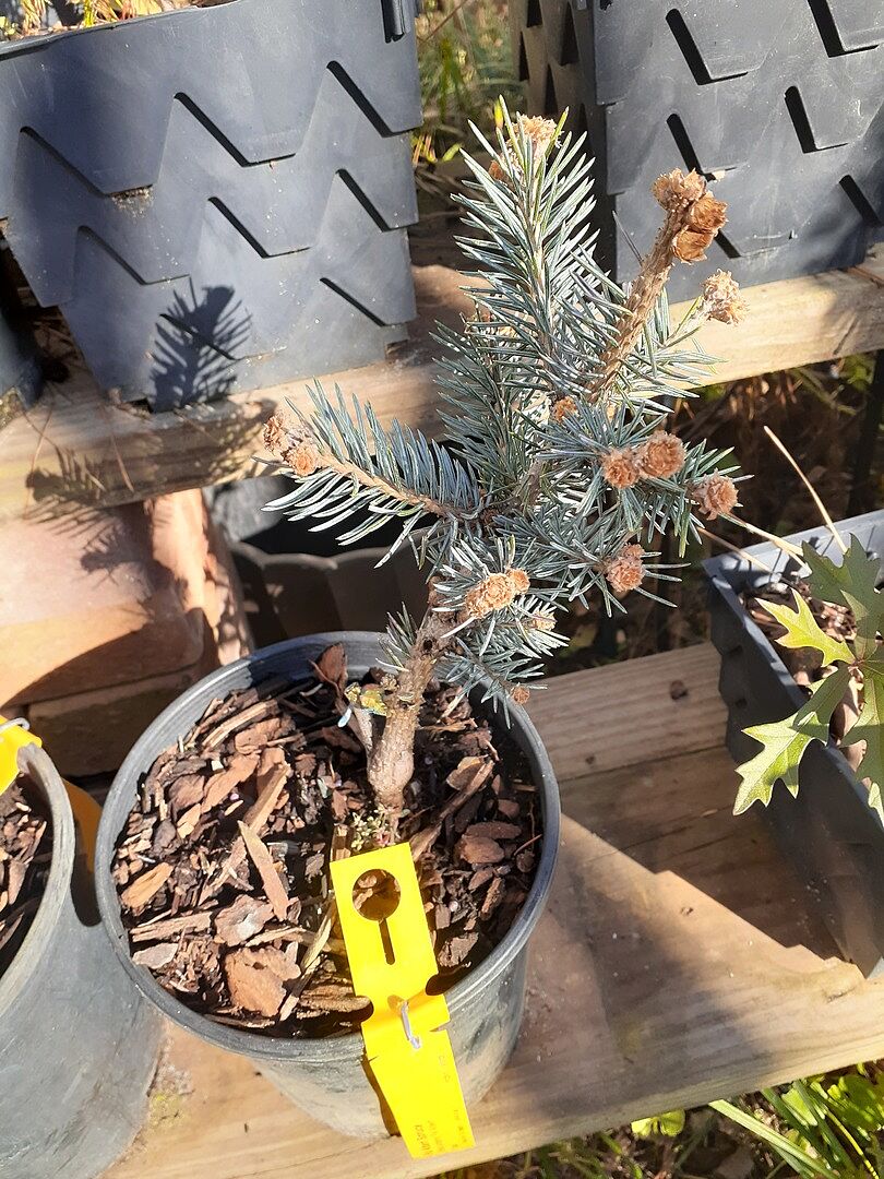 Media from review #2