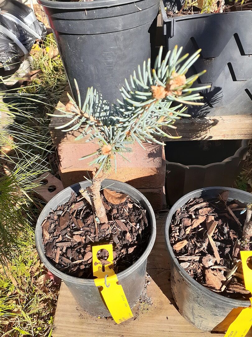 Media from review #3