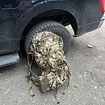 Image of Review by Marcus on 21 Nov 2025 number 1