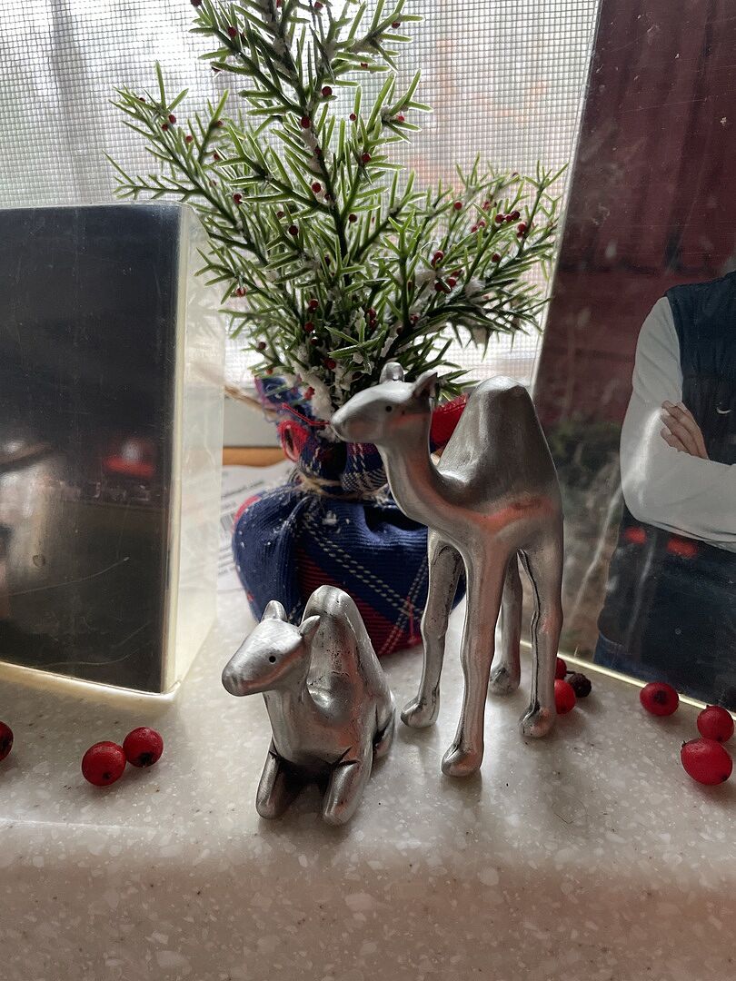 Two Wise Camels Nativity Figurine Set customer photo