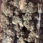 Customer Review Image