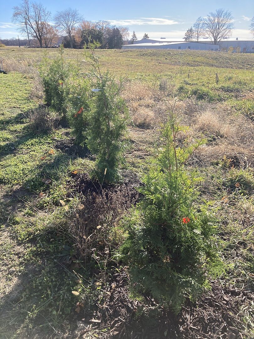 Media from review #2