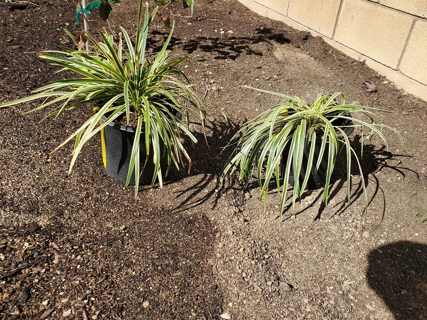 Media from review #1