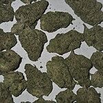 Customer Review Image