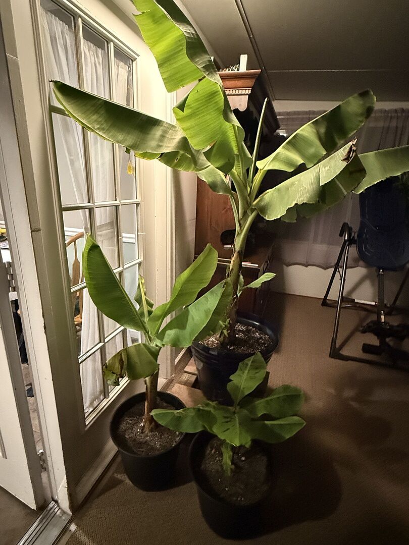 Media from review #3