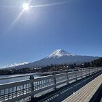 Image of Review by ご利用者様 on  1 Dec 2025 number 1