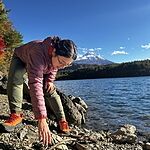 Image of Review by M. S. on  4 Dec 2025 number 1