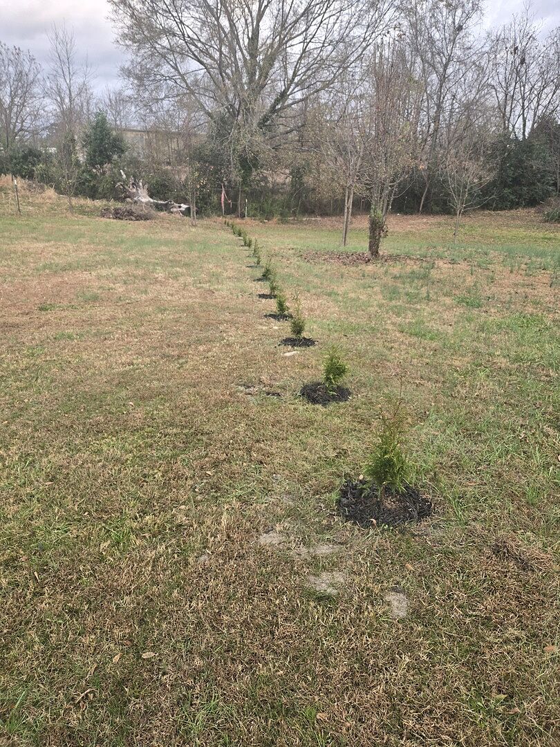 Media from review #2