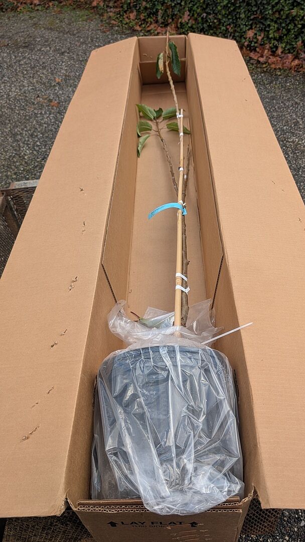 Media from review #1