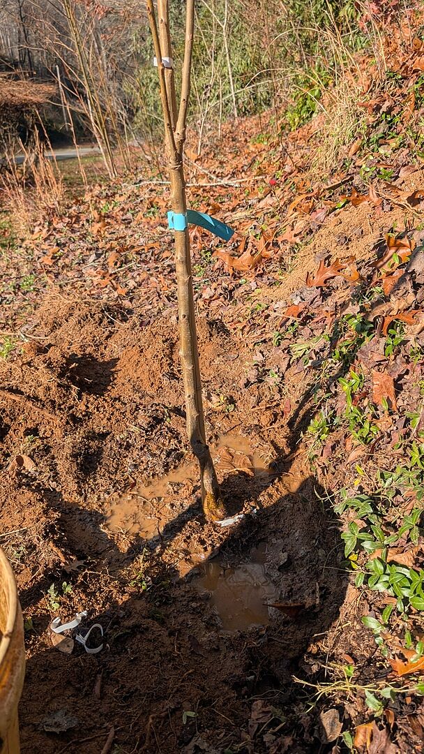 Media from review #2