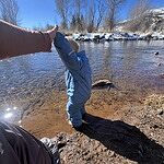 Image of Review by Lexy B. on  6 Dec 2025 number 3