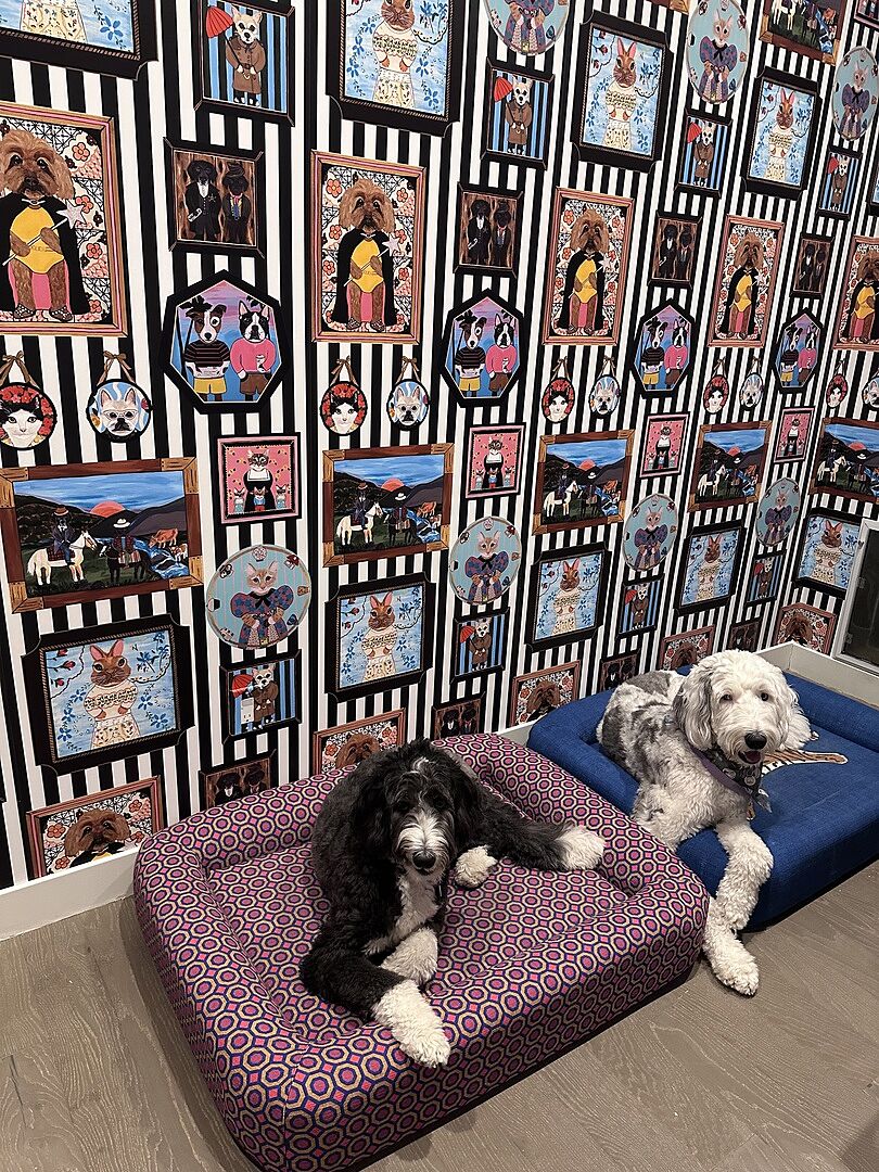 Tiger Blue Woven Bolster Washable Dog Bed by Jonathan Adler