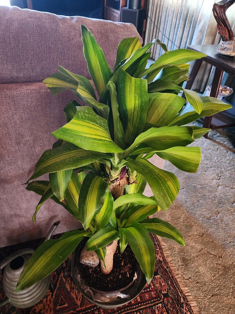 Good customer service!