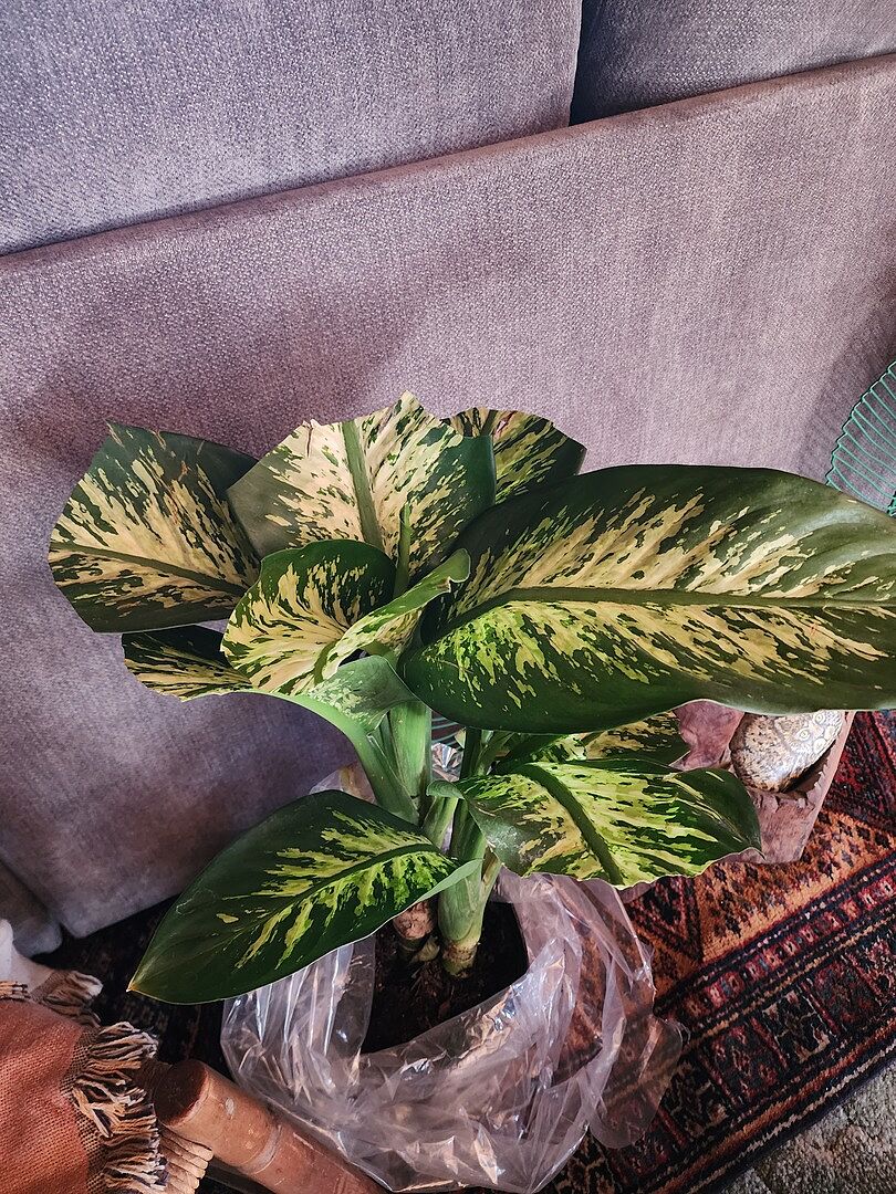 Great customer service!