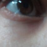 Image of Review by Amparo H. on 14 Dec 2025 number 3