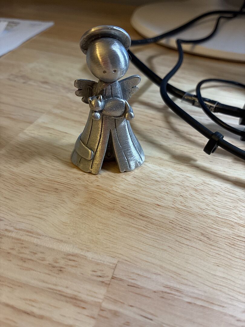 Safely Held Angel With Cat customer photo