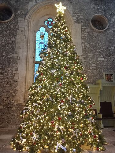 Decorated Christmas tree with horizontal splayed branches