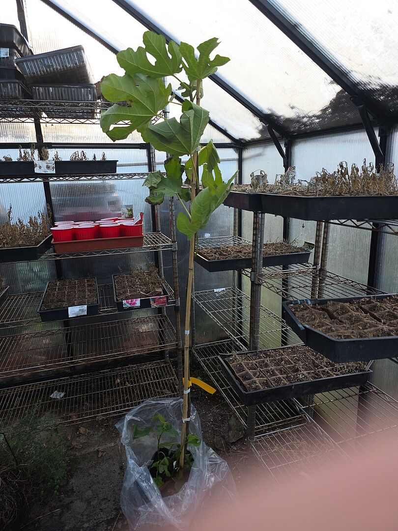 Media from review #2