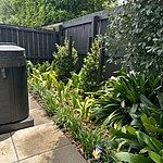 Review image by Richard S.