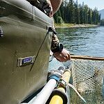 Image of Review by David L. on 23 Dec 2025 number 1