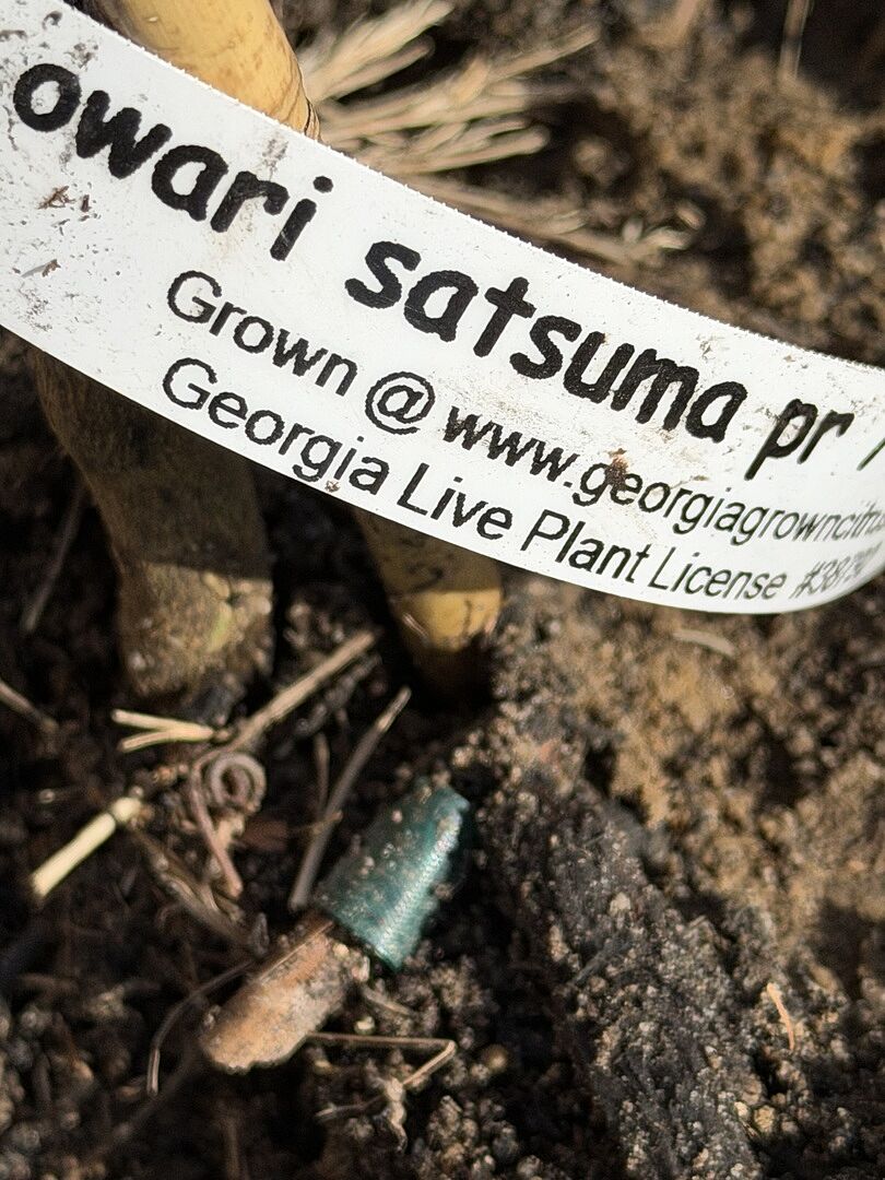 Media from review #2