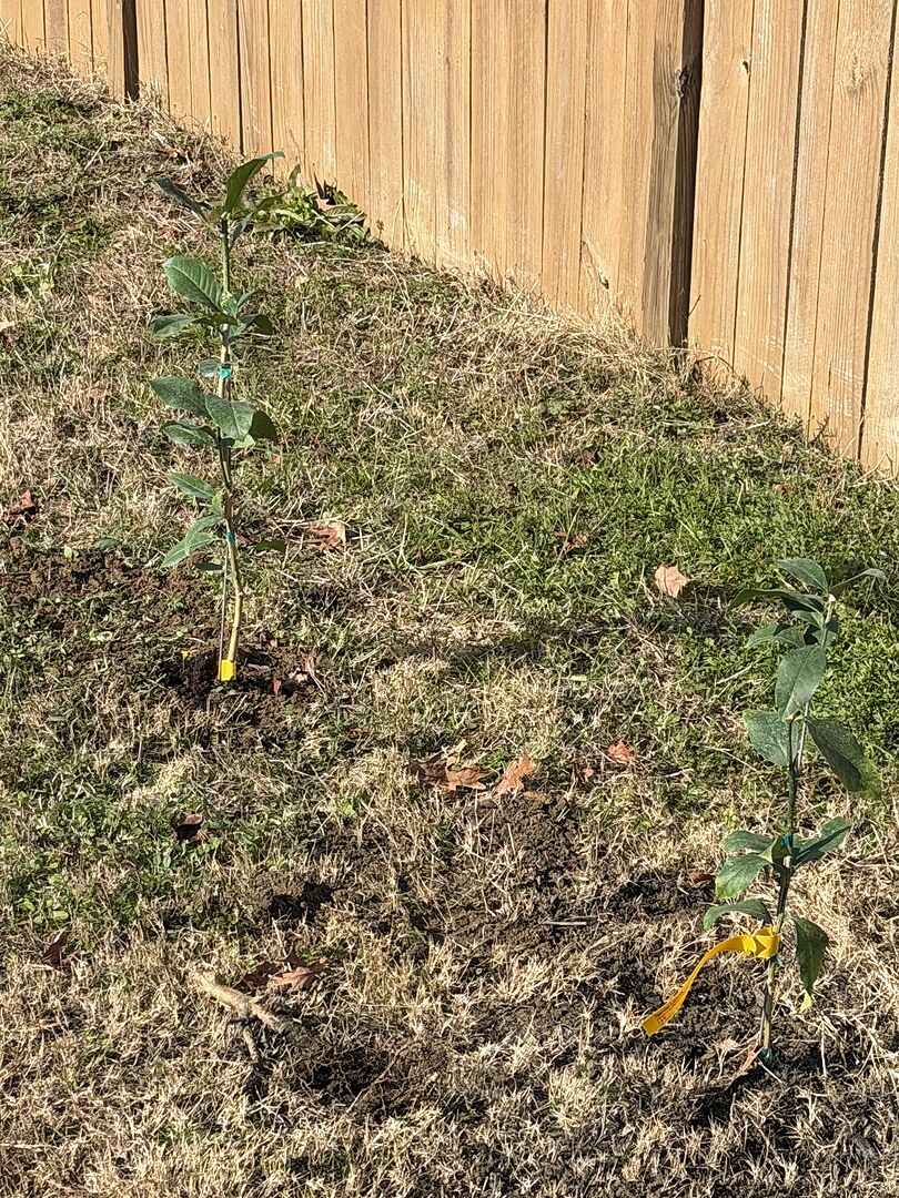 Media from review #3