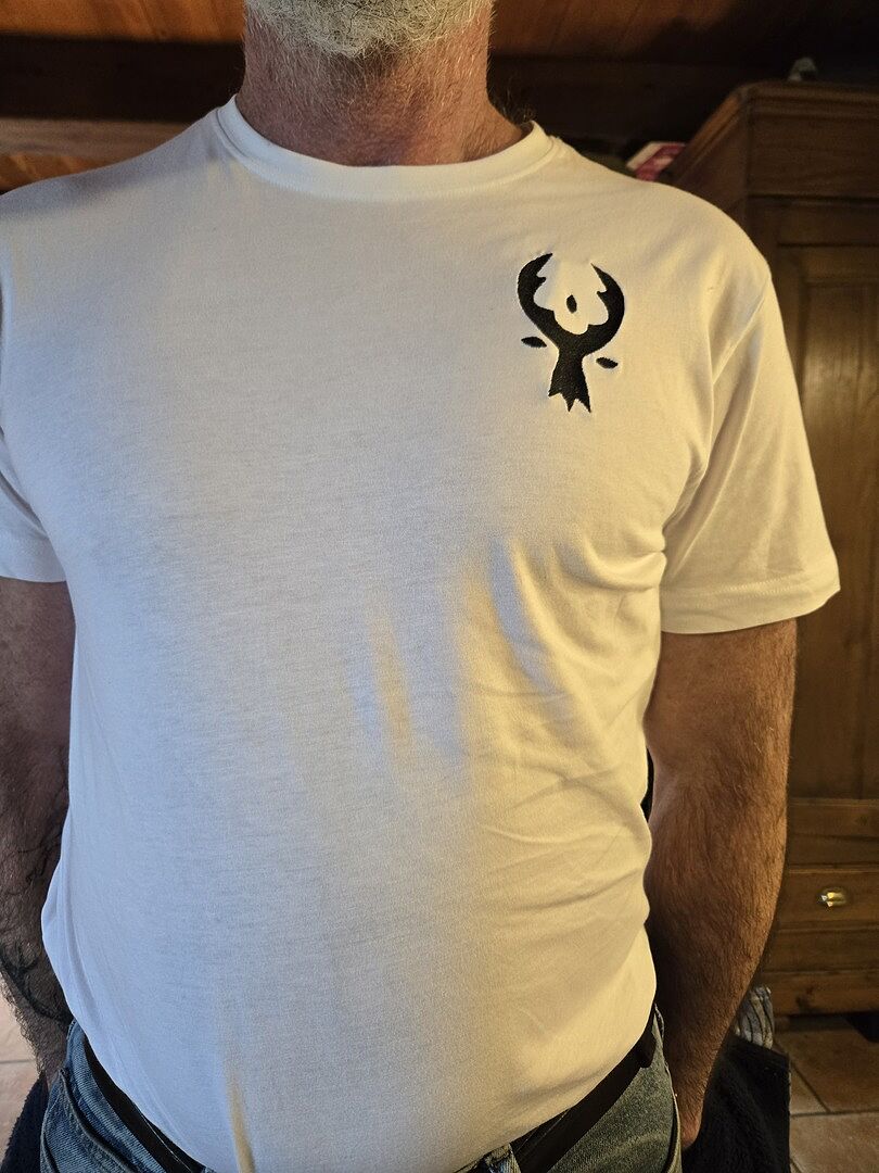 Mauvais positionnement du logo