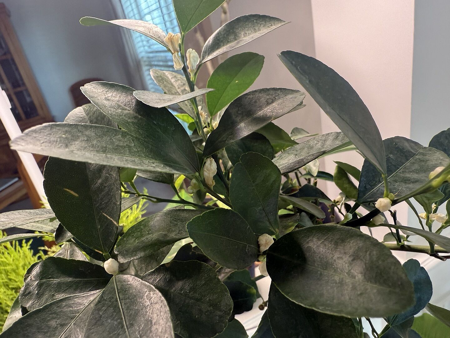 Media from review #2