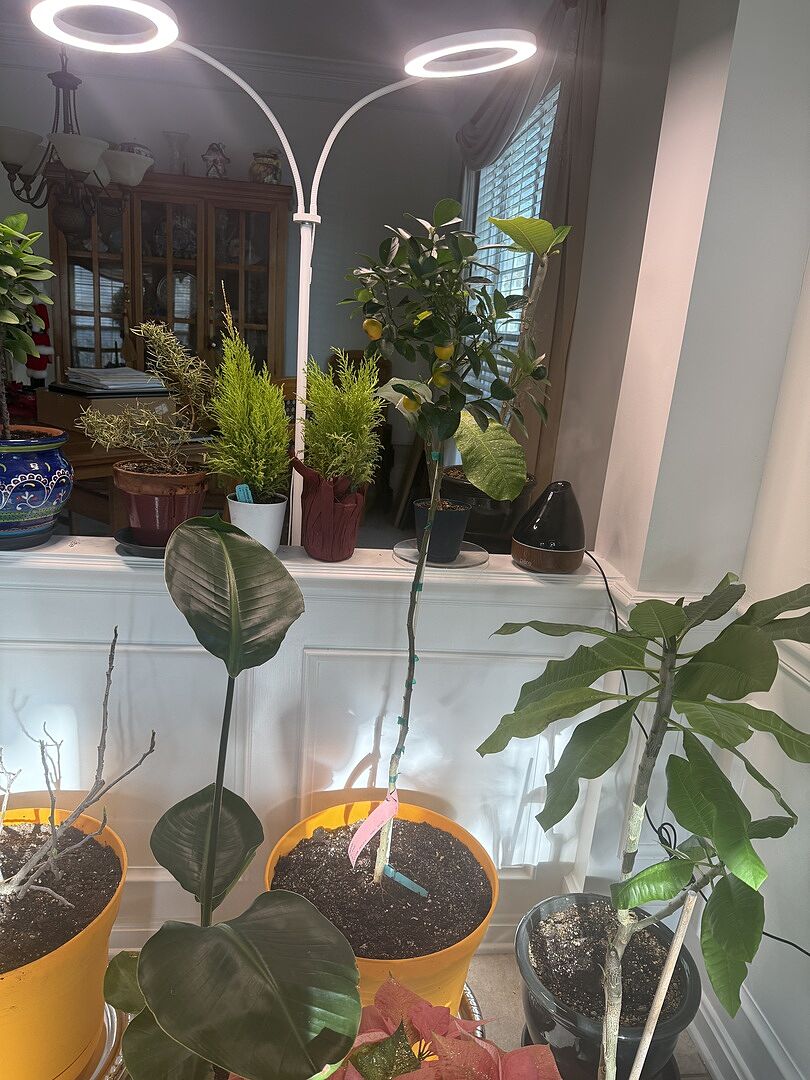 Media from review #3