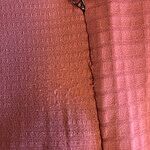 Image of Review by R. A. on  5 Jan 2026 number 1