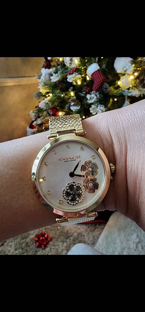 Coach Park Silver Women display picture 3