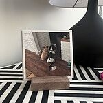 Image of Review by Alison B. on  5 Jan 2026 number 1