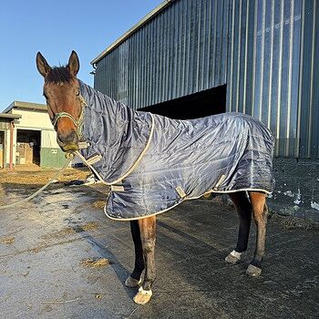 Couverture De Pluie Légère Horseware - Taille 63 Pouces - Bordeaux/Noir