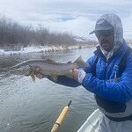 Image of Review by Chad P. on  7 Jan 2026 number 1