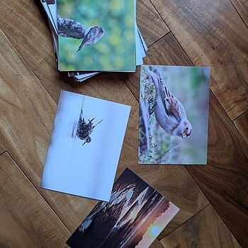 Photo of review by Katja on Jan 10, 2026 #1